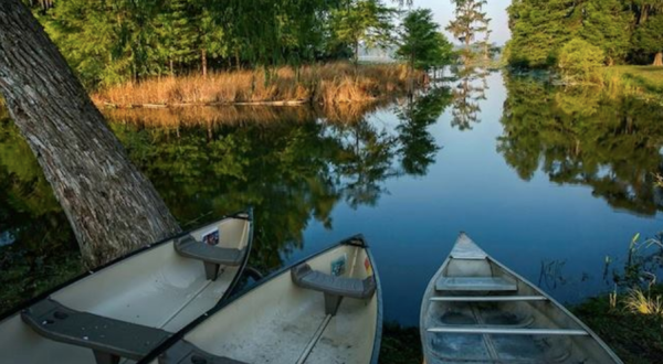This Fall, Visit Lake Martin For A Picture-Perfect Kayaking Adventure