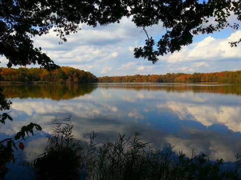 Lums Pond State Park Is One Of The Brightest And Most Colorful Places In Delaware When The Autumn Leaves Appear