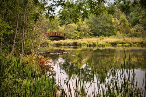 Explore Five Miles Of Trails And Cross The Kalamazoo River At The 140-Acre Whitehouse Nature Center In Michigan