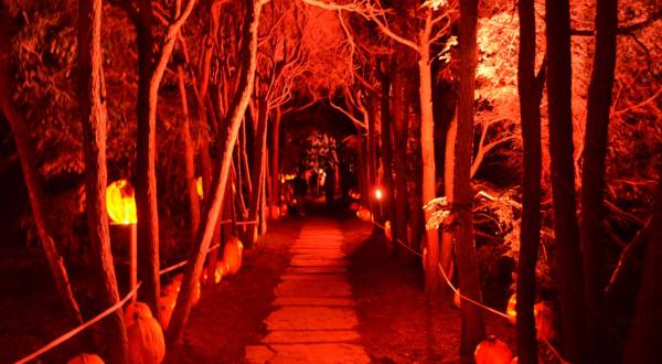 Stand Among 5,000 Hand-Carved Illuminated Jack O’Lanterns At New York’s Old Westbury Gardens