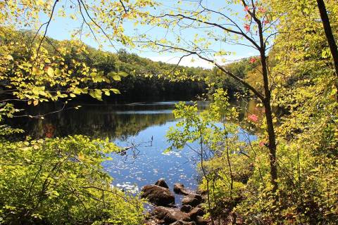 Devil's Den Preserve Is The Most Peaceful Place To Experience Fall Foliage In Connecticut