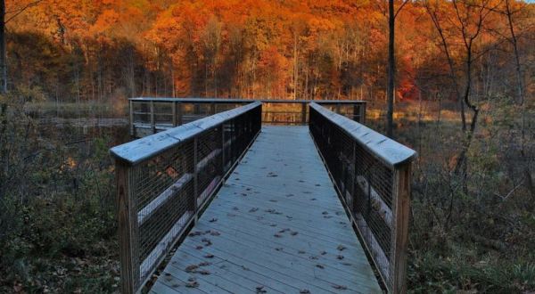 This Easy Fall Hike Near Cleveland Is Under 2 Miles And You’ll Adore Every Step You Take
