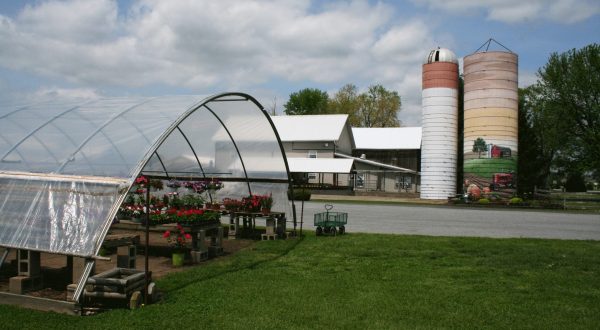 You’ll Find Delicious Ice Cream, Amish Goods, And Fresh Produce At Barn-N-Bunk Farm Market In Ohio