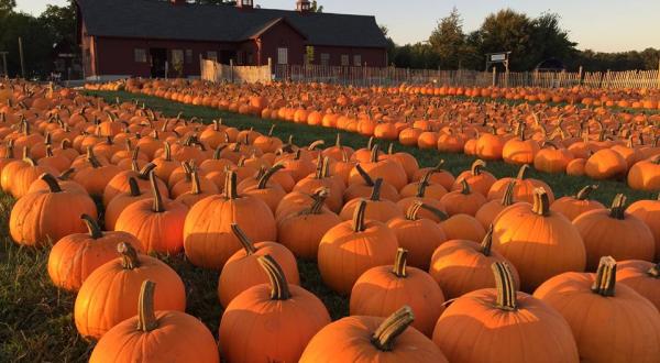 It’s Peak Apple And Pumpkin Picking Conditions At Tougas Family Farm In Massachusetts