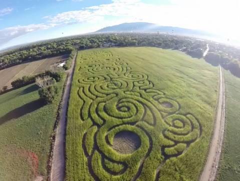 Get Lost In The Maize Maze, An 8-Acre Corn Maze In New Mexico, This Autumn