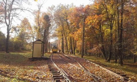 Take The National Capital Trolley Ride In Maryland To Experience The Colorful Changing Leaves