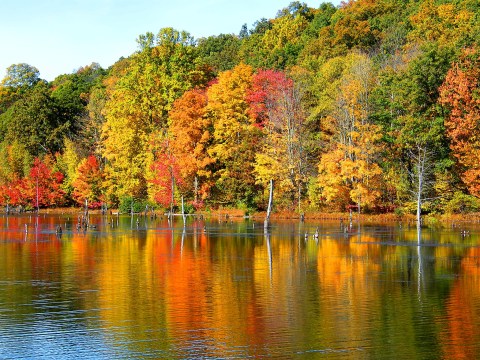 Visit Lake Glenville In North Carolina For A Positsively Beautiful View Of The Fall Colors