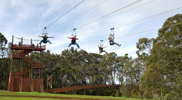 Enjoy A Sky-High Tour Of The Forest Canopy On The Zipline At Piihole Ranch In Hawaii