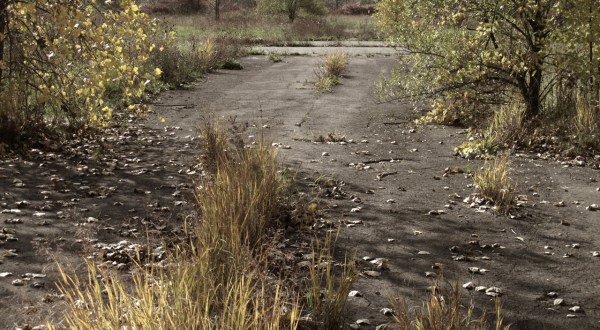 The Abandoned Neighborhood Of Love Canal Near Buffalo Is Toxic And You’ll Want To Stay Far Away
