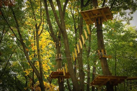 The Canopy Walkway At Frankenmuth Aerial Park Takes You High Above The Trees Near Detroit
