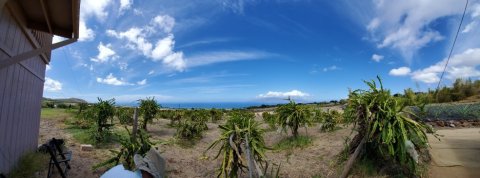 Explore The Exotic When You Take A Tour Of The Maui Dragon Fruit Farm In Hawaii