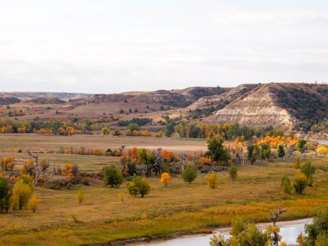 North Dakota's Legendary Theodore Roosevelt National Park Becomes Even More Beautiful In The Fall