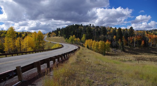 Take A 2-Hour Drive Through New Mexico To See This Year’s Beautiful Fall Colors