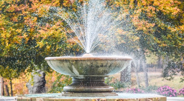 Immerse Yourself In Fall Foliage At The Cleveland Cultural Gardens