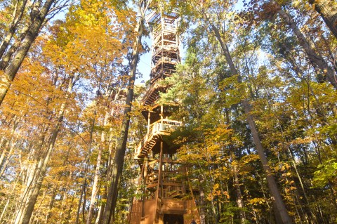 6 Towers In Ohio To Climb This Autumn For Some Beautiful Fall Foliage Views
