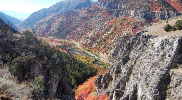 Stokes Nature Center Is The Most Peaceful Place To Experience Fall Foliage In Utah