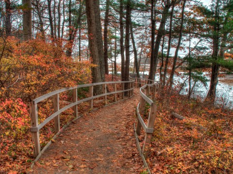 The Rachel Carson Wildlife Refuge Is The Most Peaceful Place To Experience Fall Foliage In Maine
