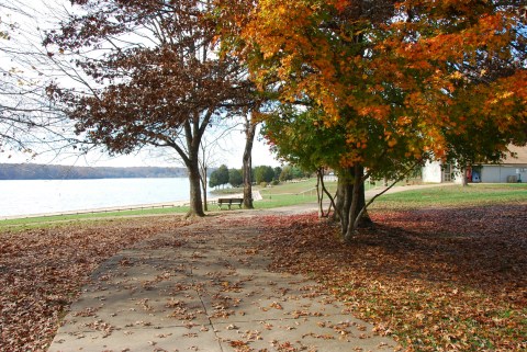 Enjoy Shoreline Views And Colorful Fall Foliage When You Visit Lake Anna State Park In Virginia