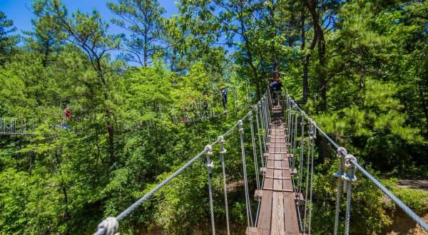 Tackle Tree Walks, Canopy Trails, And Other Feats Deep In A North Carolina Forest At ZipQuest
