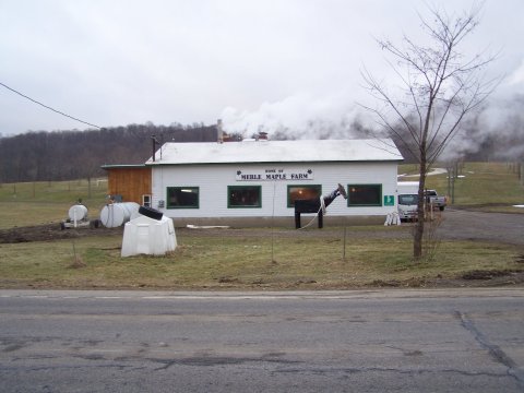 The World’s Widest Variety Of Pure Maple Syrup Products Is Right On Merle Maple Farm Near Buffalo