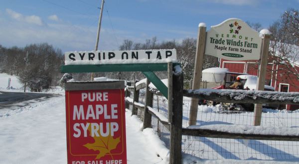 Fill Up Your Own Jug With Syrup At Trade Winds Farm In Vermont
