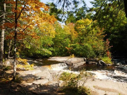 Visit The Grand Canyon Of Michigan To See The Beautiful Changing Leaves This Fall
