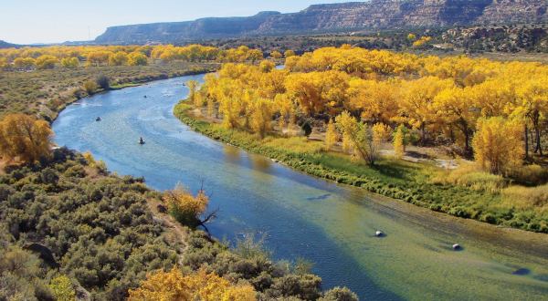 You Can’t Pass Up A Trip To See New Mexico’s Fall Foliage In These 7 State Parks