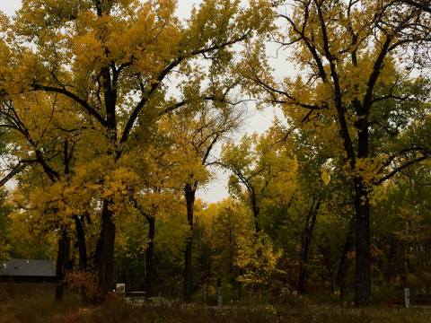 Enjoy Fall Foliage While Strolling Through Gorgeous Luminaries At Turtle River State Park In North Dakota