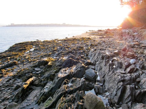 Explore The Fall Colors Of Maine's Beautiful Mackworth Island In Under 2 Miles With This Easy Hike