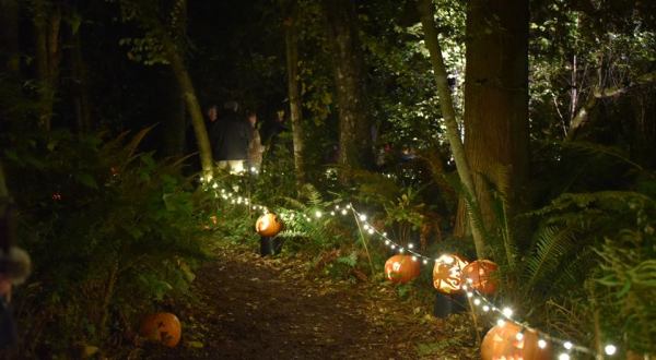 The Bainbridge Gardens Pumpkin Walk In Washington Is A Classic Fall Tradition