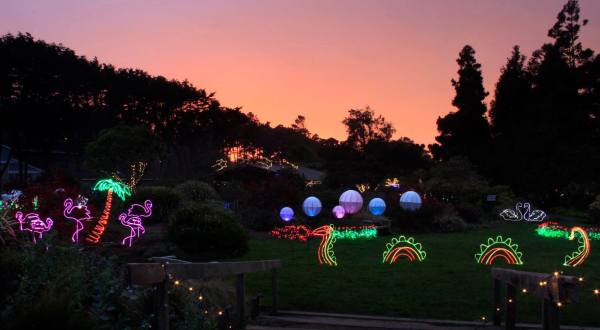 The Festival Of Lights In Northern California Is A Magical Wintertime Fairyland Experience