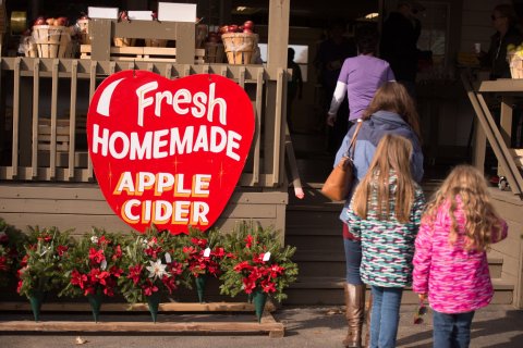 Cider Fest Returns To Fifer Orchards In Delaware For A Fantastic Fall Day