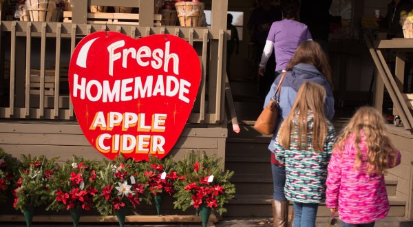 Cider Fest Returns To Fifer Orchards In Delaware For A Fantastic Fall Day