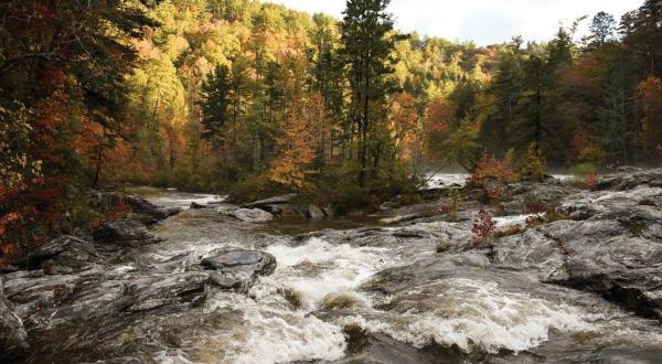 Take A Canopy Tour At Wildwater To See The Stunning Fall Colors In Tennessee