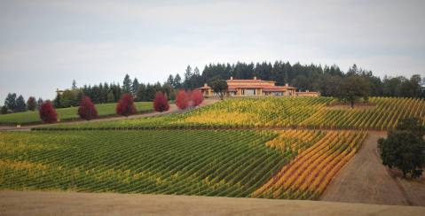 Road Trip To Up To 15 Different Vineyards On Oregon's NW Wine Shuttle