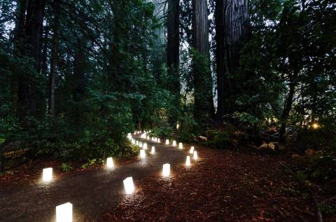 The Candlelight Walk Through Prairie Creek Redwoods State Park In Northern California Is Positively Magical