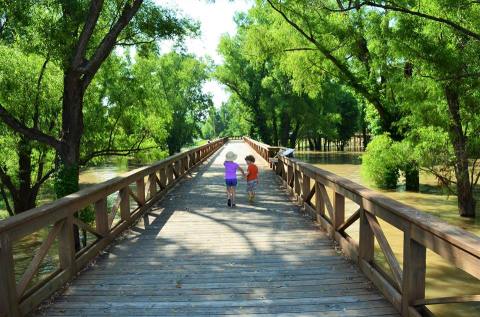 Walk On The Boardwalk At River Park For An Arkansas View Of The Mississippi River