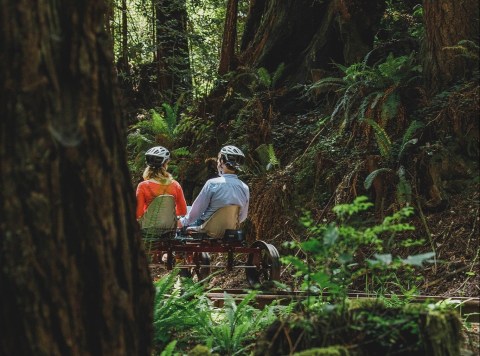 Pedal Through The Redwood Forest In Northern California For The Ultimate Outing