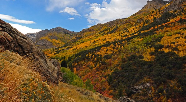 The Road Trip Through The Ruby Mountains In Nevada Will Take You Through Sheer Autumnal Perfection