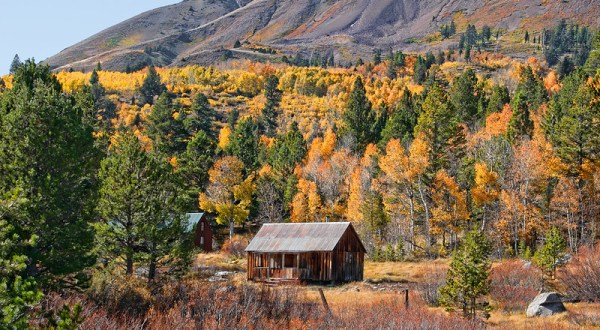 Hope Valley Is The Most Peaceful Place To Experience Fall Foliage In Northern California