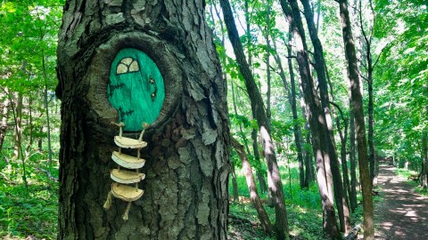 Most People Don’t Know There’s A Fairy Trail Near Buffalo And It’s Positively Magical
