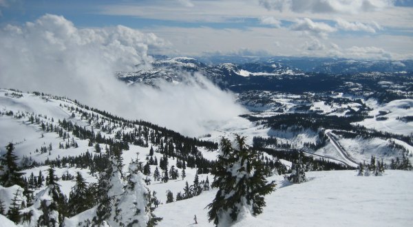 The Earliest Snowfall In 100 Years Hit Washington Last Month