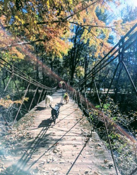 Walk Across The Tishomingo Swinging Bridge For A Gorgeous View Of Mississippi's Fall Colors