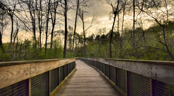 Suwanee Creek Greenway In Georgia Leads To Incredibly Scenic Views