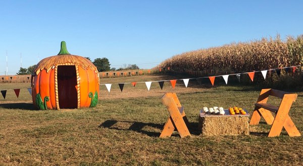 Celebrate All Things Pumpkin At The Maryland Pumpkin Festival