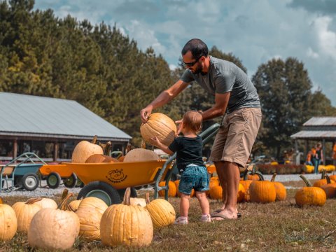 One Of The Best Fall Festivals Near Nashville Is Happening All Season Long At Honeysuckle Hill Farm