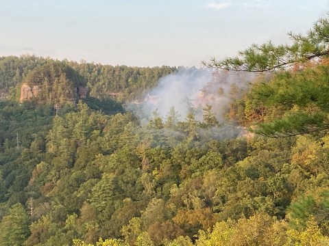 A Devastating Fire Has Destroyed Acres Of Kentucky's Red River Gorge