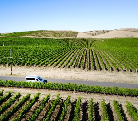 Platypus Wine Tours In Northern California Will Take You On A Delicious Journey Through Wine Country