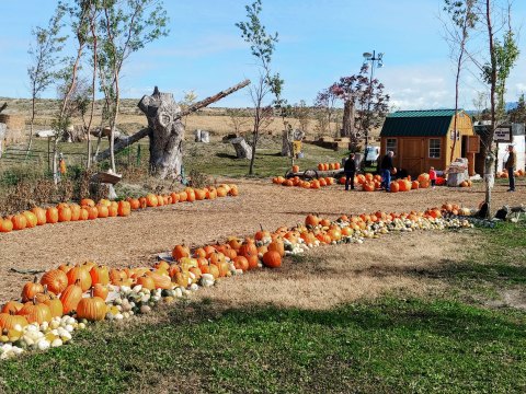 Visit Halloween Land At Twin Oaks Farms In Idaho This Year For A Wholesome Family Outing