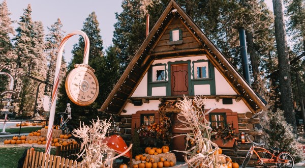 Pumpkins In The Pines Is One Of The Most Charming Fall Festivals In All Of Southern California